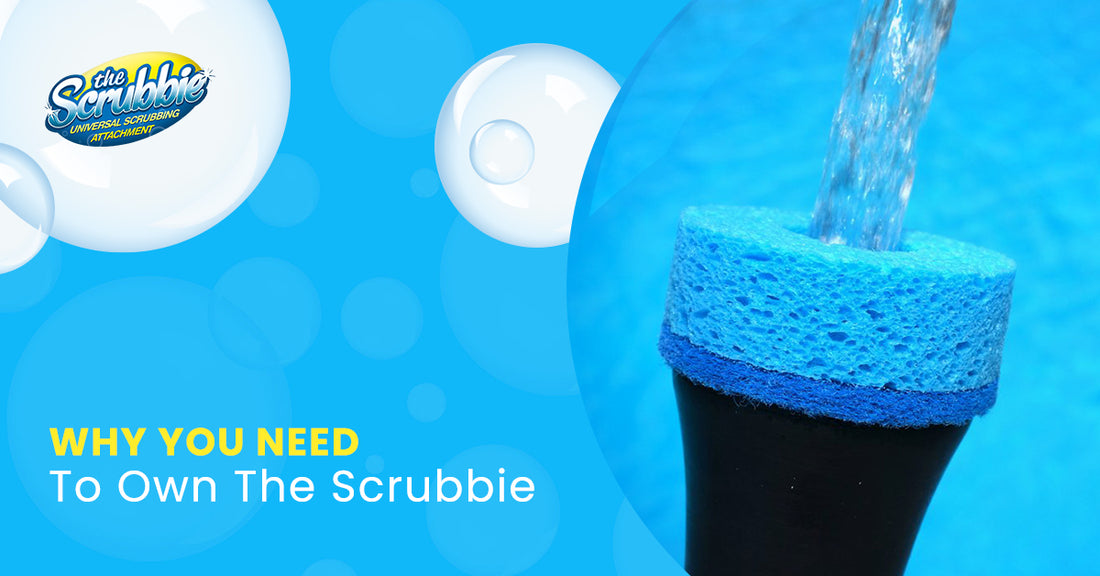 Why You Need to Own The Scrubbie